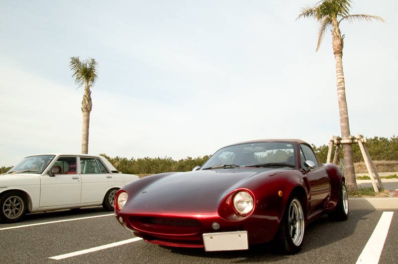 ohahori0502_22.jpg