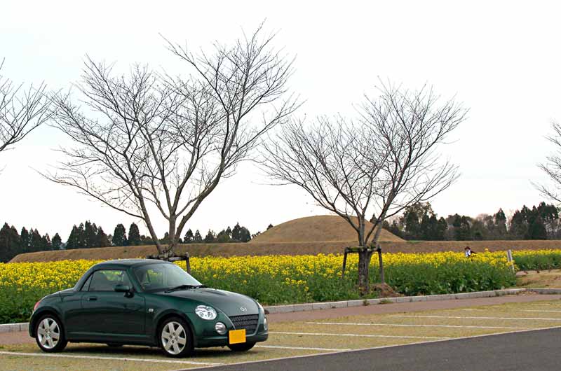 ohahori0503_26.jpg