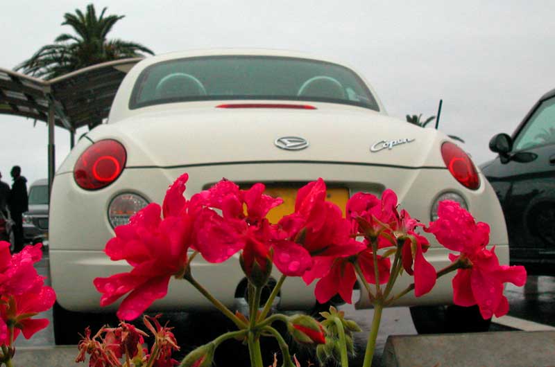 ohahori0505_03.jpg