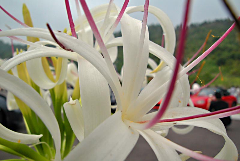 ohahori0507_22.jpg