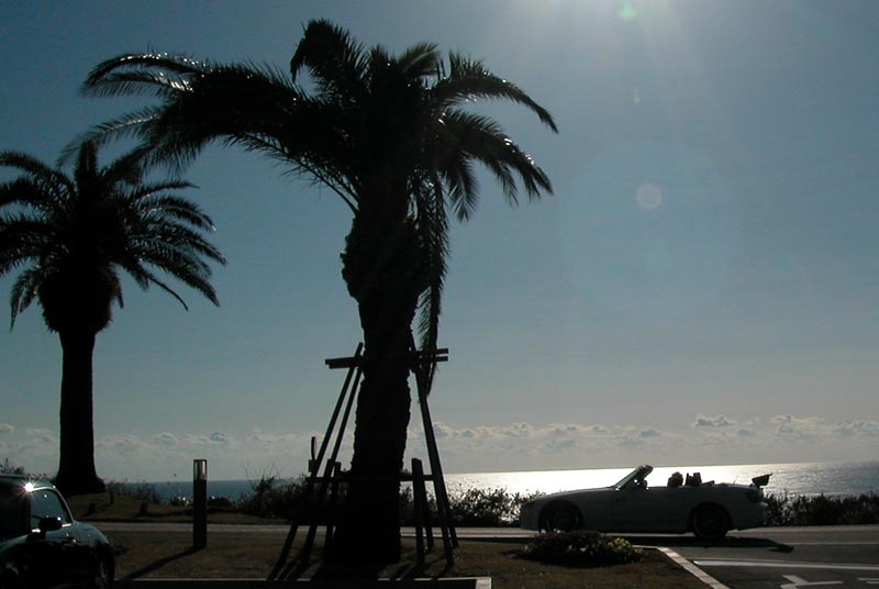 ohahori0601_33.jpg