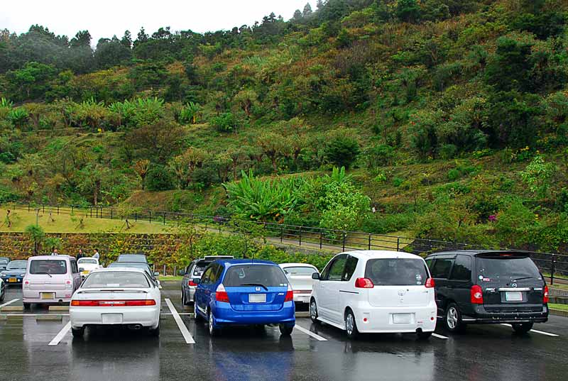 ohahori0611_21.jpg