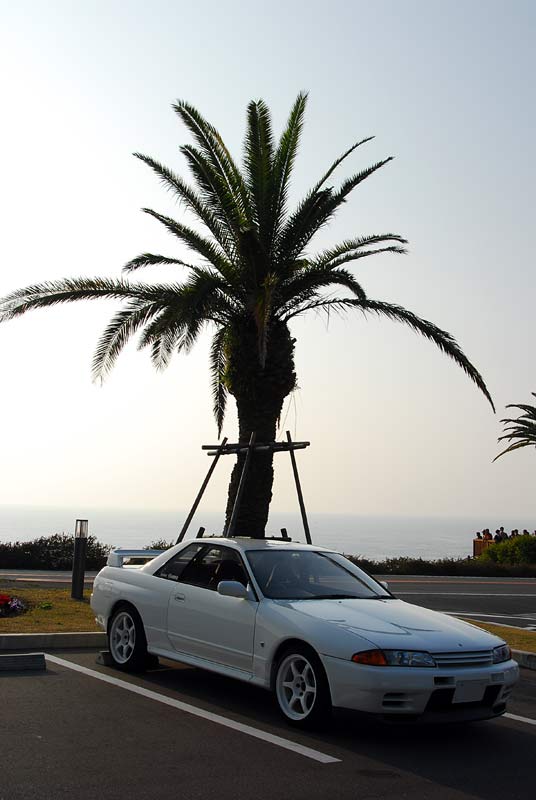 ohahori0612_34.jpg