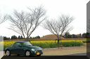 ohahori0503_26.jpg