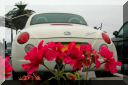 ohahori0505_03.jpg
