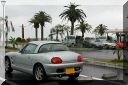 ohahori0505_06.jpg