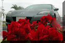 ohahori0505_10.jpg