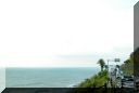 ohahori0509_02.jpg