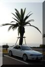 ohahori0612_34.jpg
